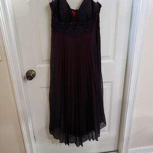 Holiday Dress: Black pleated with red lining.